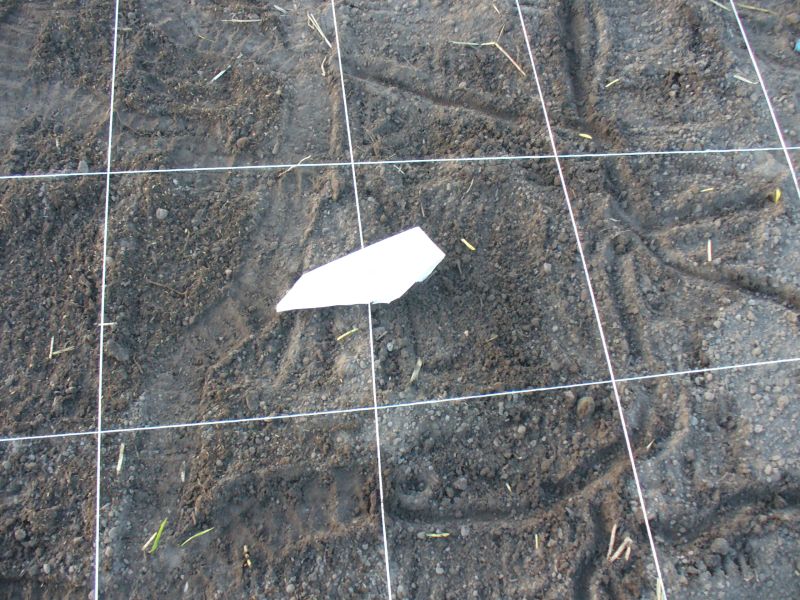 Maislabyrinth Venne 2014 - Fotogalerie - 8 von 100