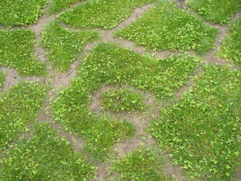 Maislabyrinth Venne 2014 - Fotogalerie - 97 von 100